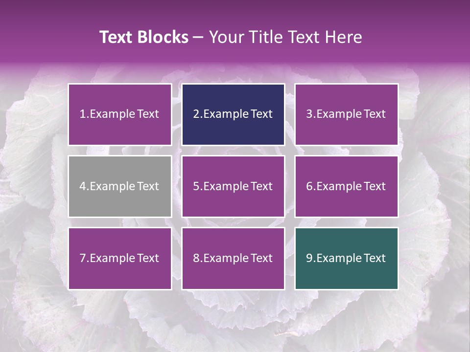 Ornamental Cabbage White PowerPoint Template