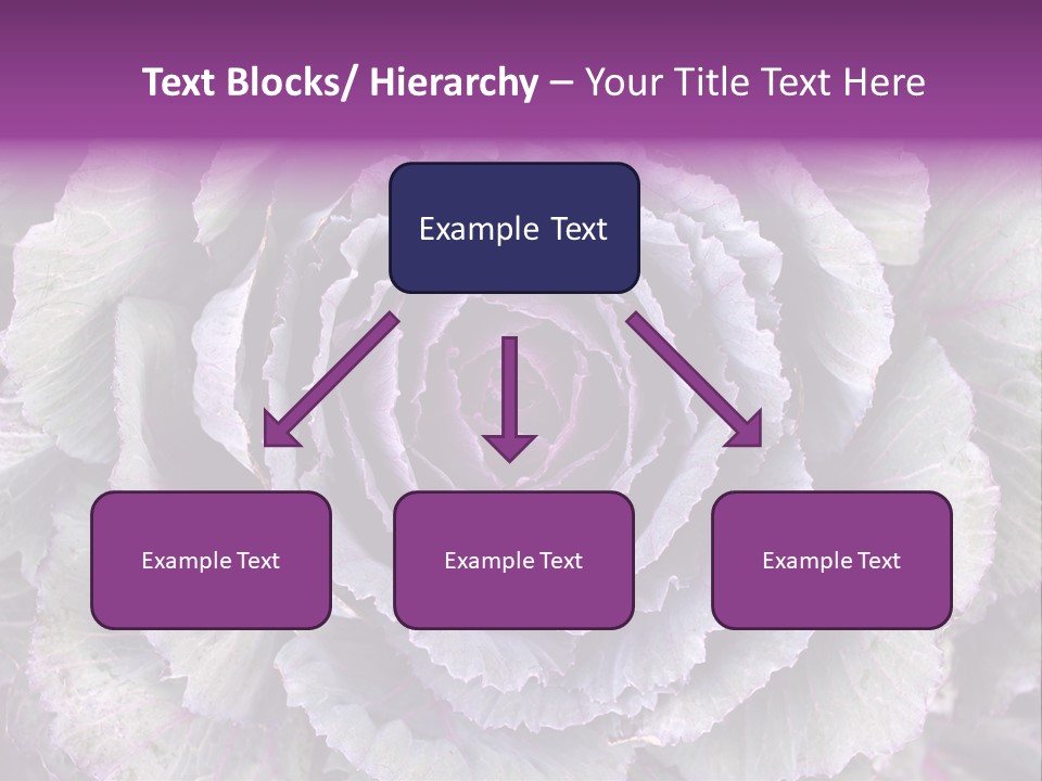 Ornamental Cabbage White PowerPoint Template