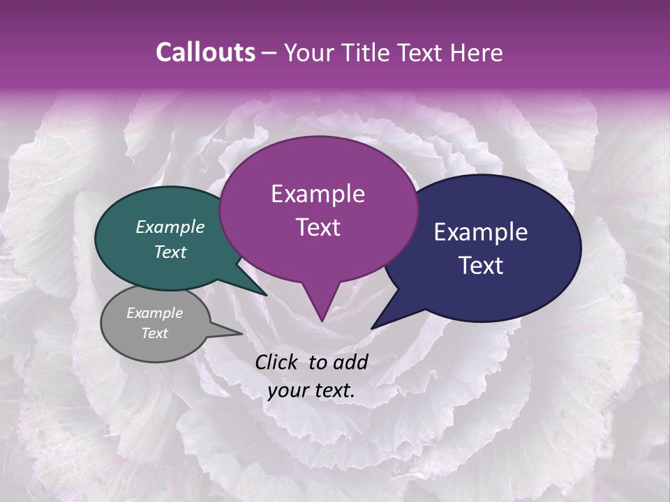 Ornamental Cabbage White PowerPoint Template