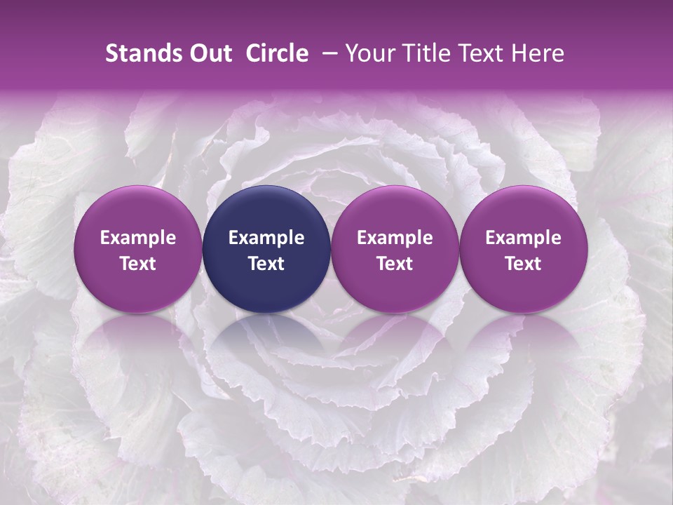Ornamental Cabbage White PowerPoint Template