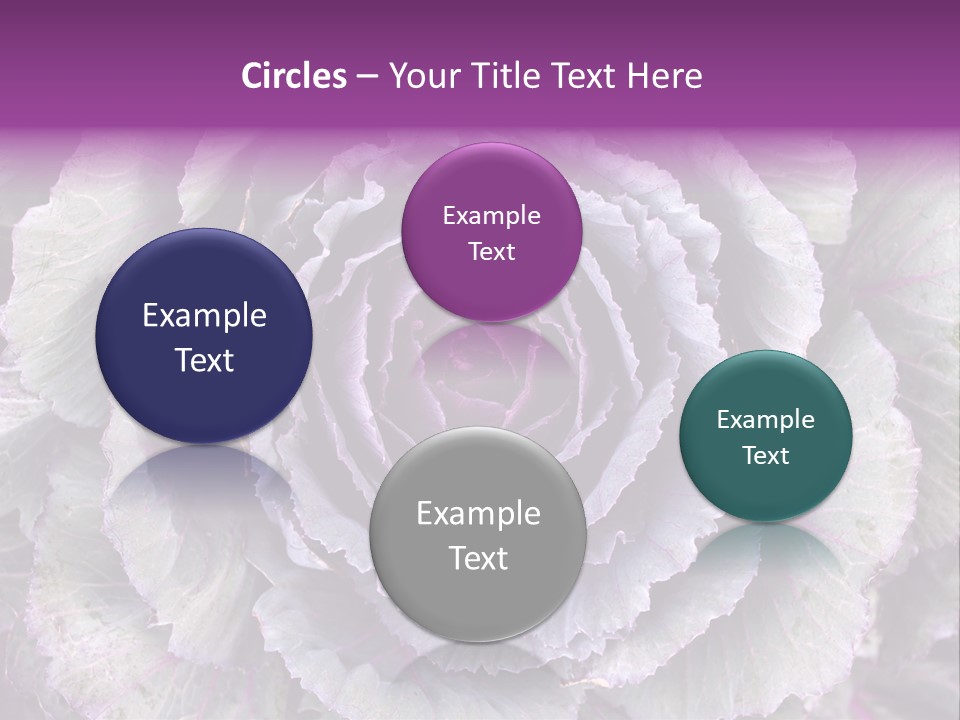 Ornamental Cabbage White PowerPoint Template