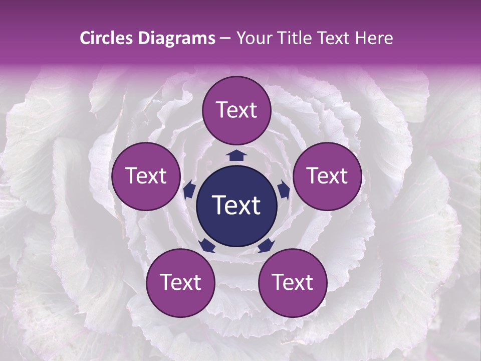 Ornamental Cabbage White PowerPoint Template