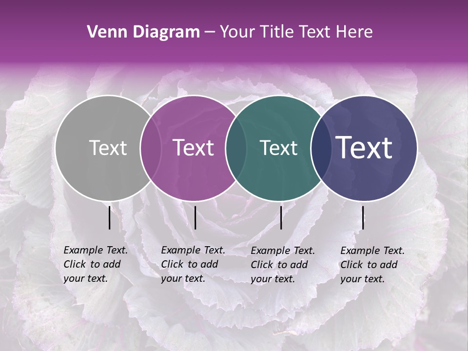Ornamental Cabbage White PowerPoint Template