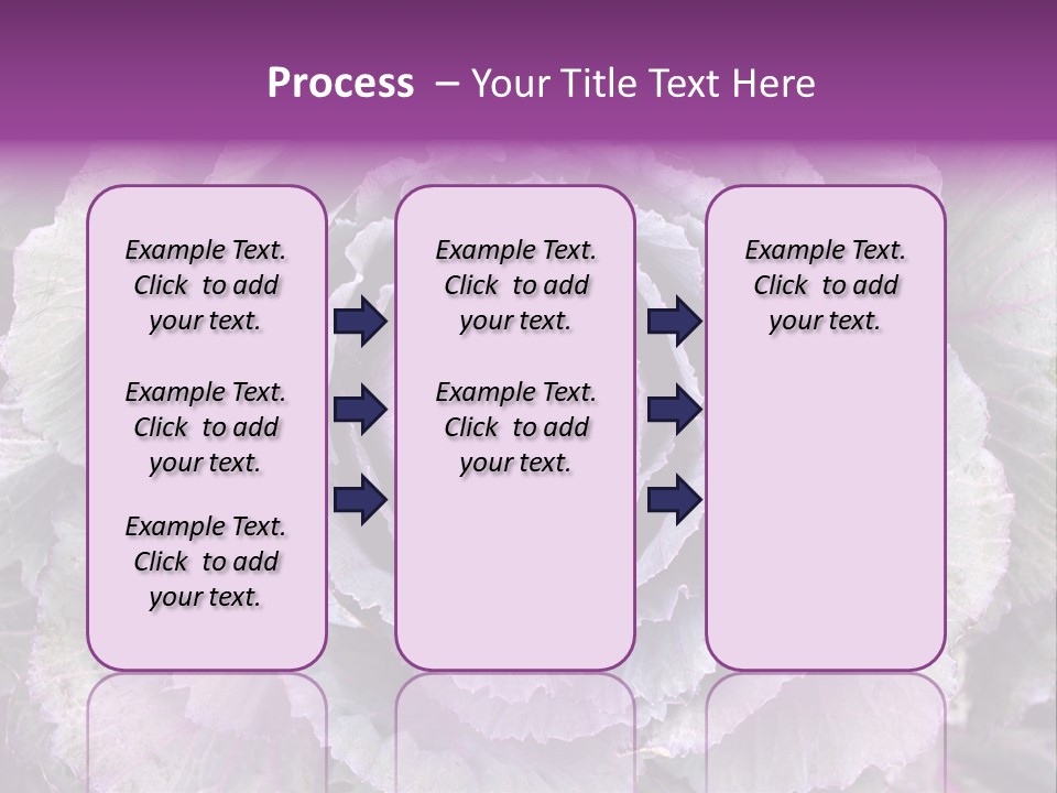 Ornamental Cabbage White PowerPoint Template