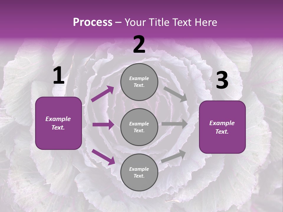 Ornamental Cabbage White PowerPoint Template