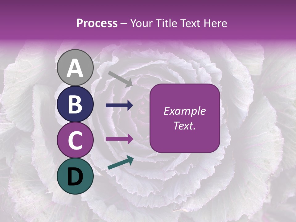 Ornamental Cabbage White PowerPoint Template