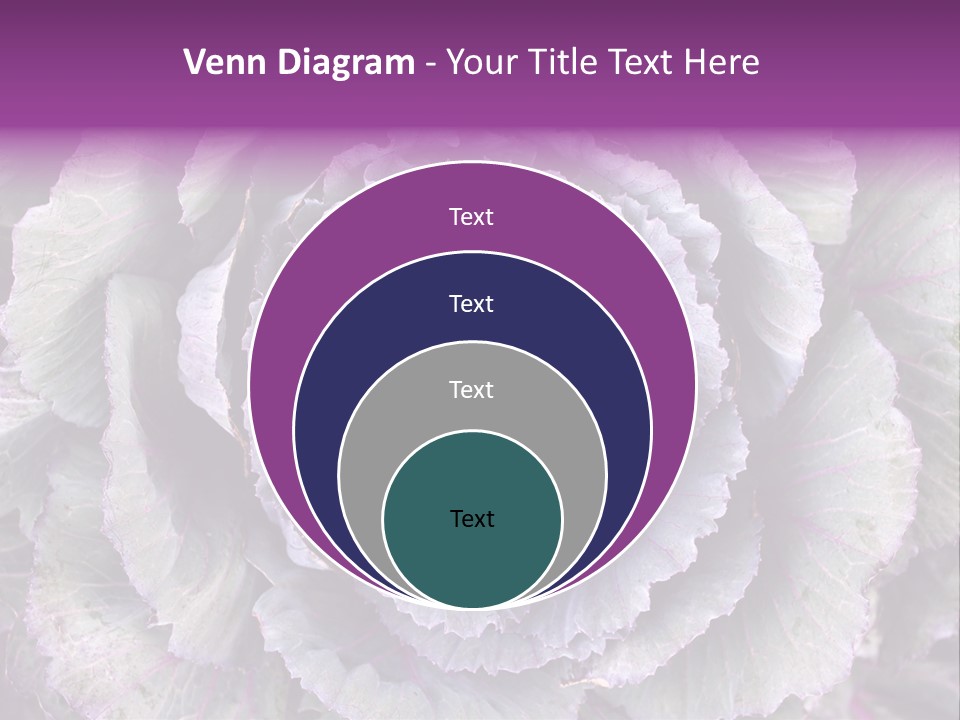 Ornamental Cabbage White PowerPoint Template
