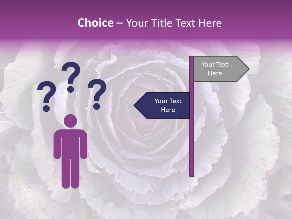 Ornamental Cabbage White PowerPoint Template