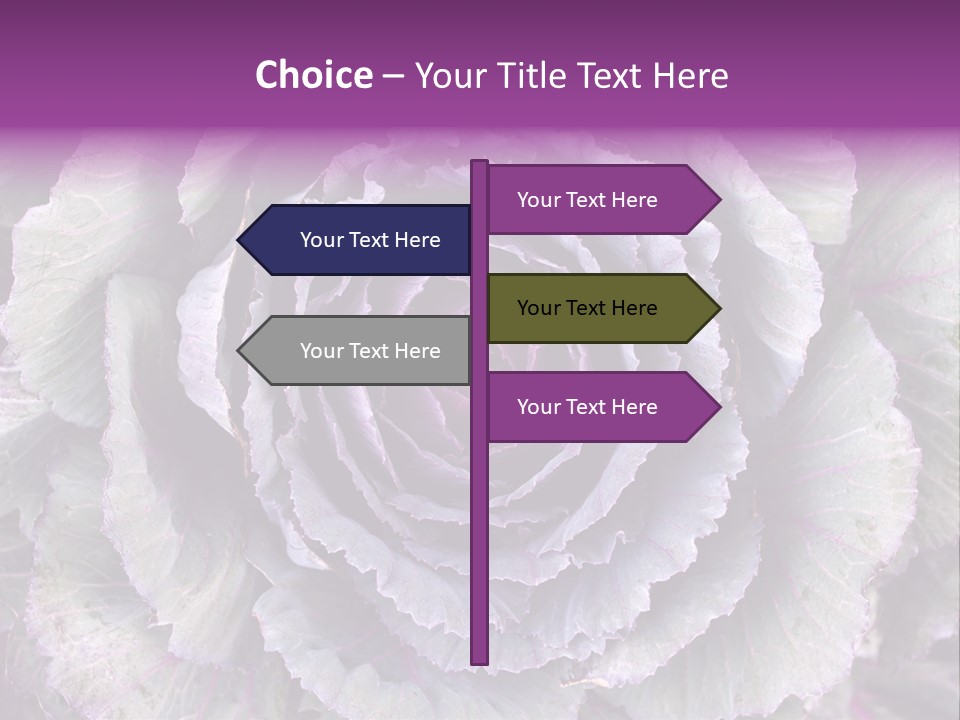 Ornamental Cabbage White PowerPoint Template