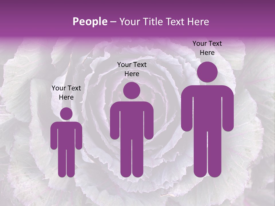 Ornamental Cabbage White PowerPoint Template