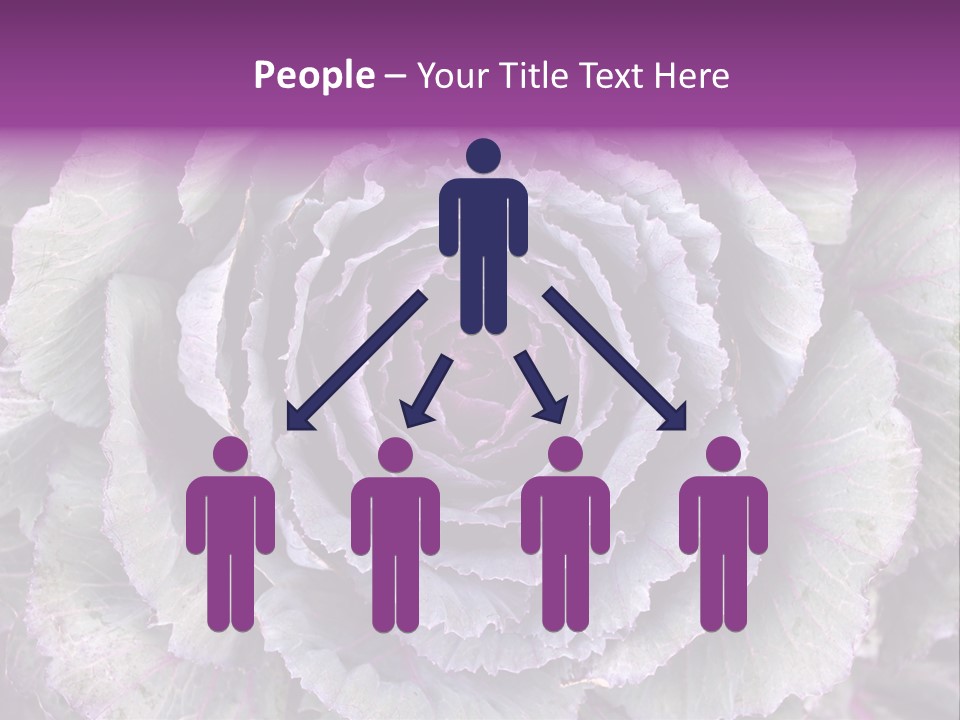 Ornamental Cabbage White PowerPoint Template