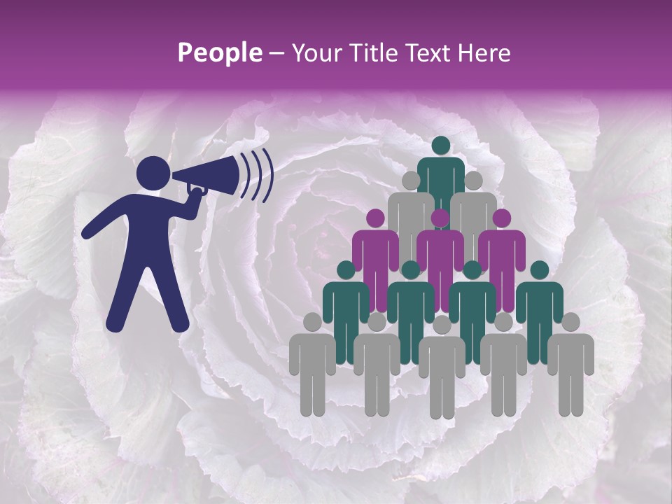 Ornamental Cabbage White PowerPoint Template