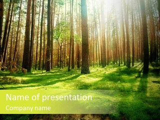 Beautiful Scenery PowerPoint Template