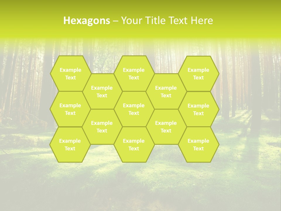 Beautiful Scenery PowerPoint Template