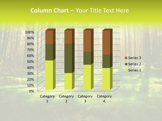 Beautiful Scenery PowerPoint Template