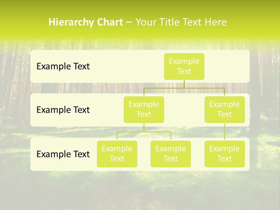 Beautiful Scenery PowerPoint Template