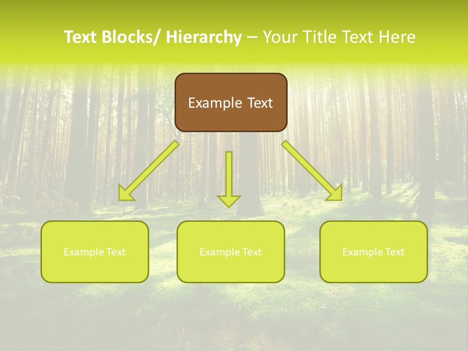 Beautiful Scenery PowerPoint Template