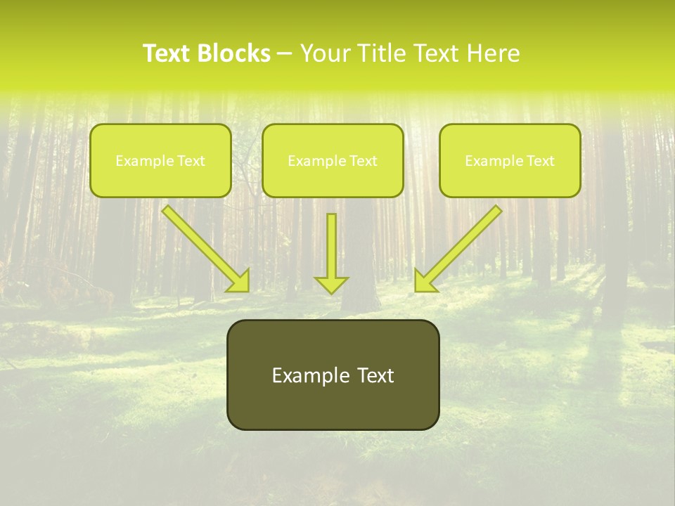 Beautiful Scenery PowerPoint Template
