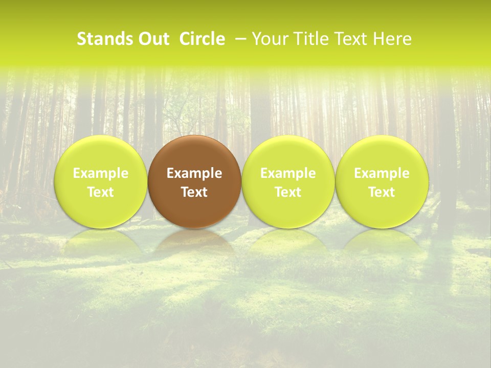 Beautiful Scenery PowerPoint Template