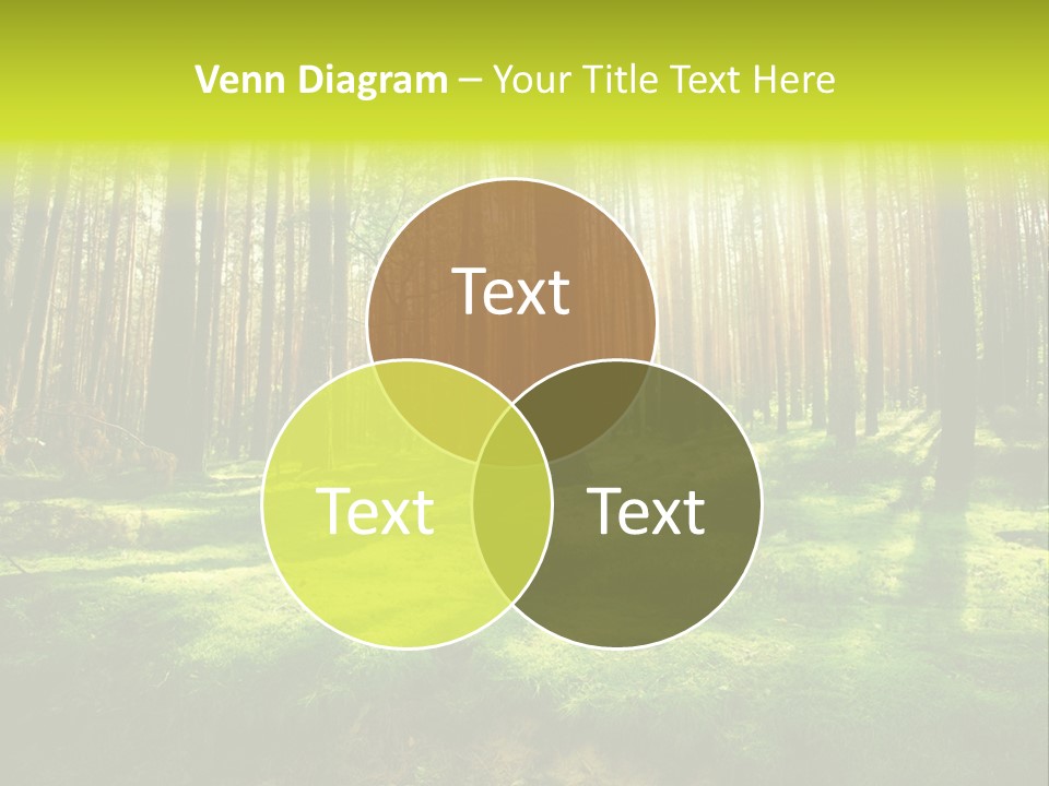 Beautiful Scenery PowerPoint Template