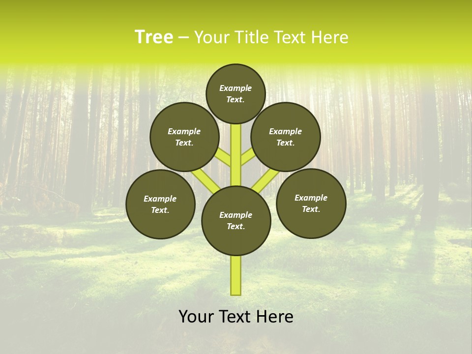 Beautiful Scenery PowerPoint Template