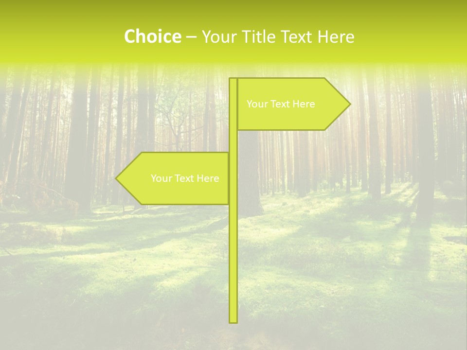 Beautiful Scenery PowerPoint Template