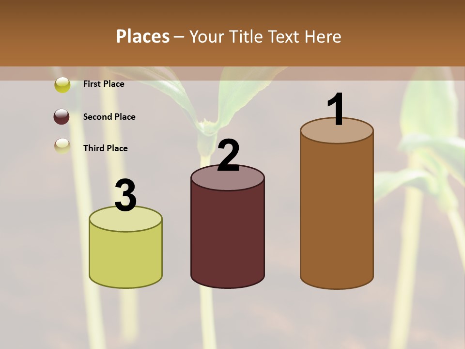 Sprout Plant Seed PowerPoint Template