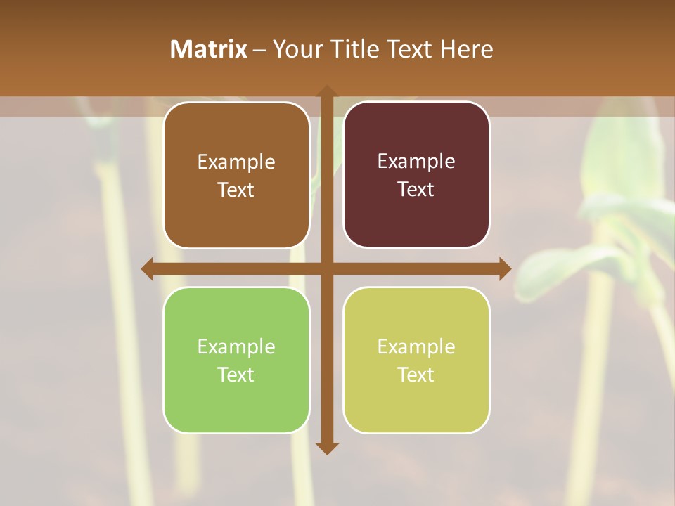 Sprout Plant Seed PowerPoint Template