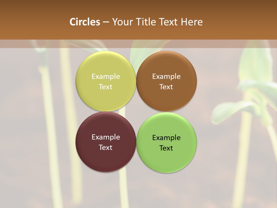 Sprout Plant Seed PowerPoint Template