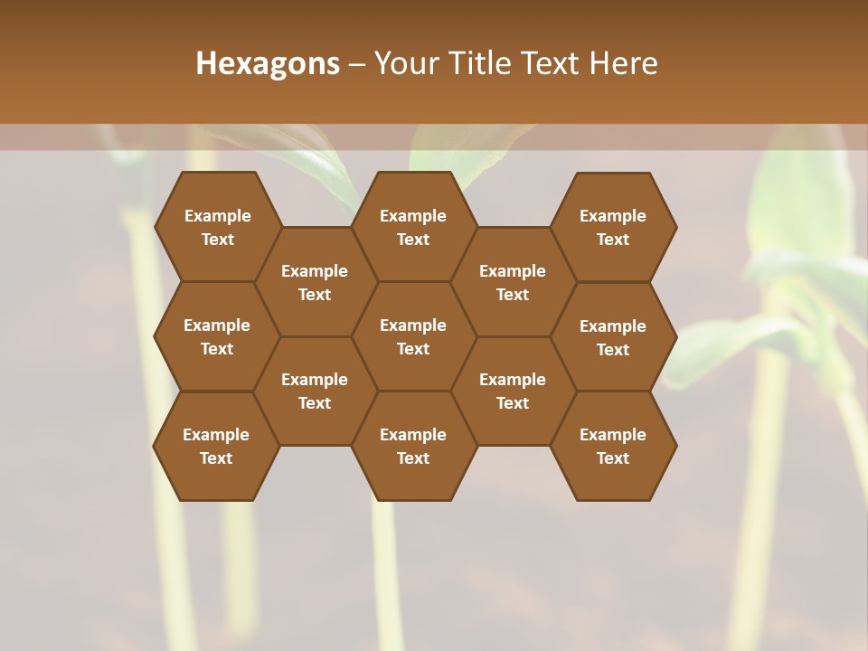 Sprout Plant Seed PowerPoint Template