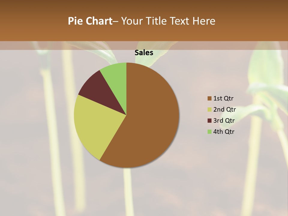 Sprout Plant Seed PowerPoint Template