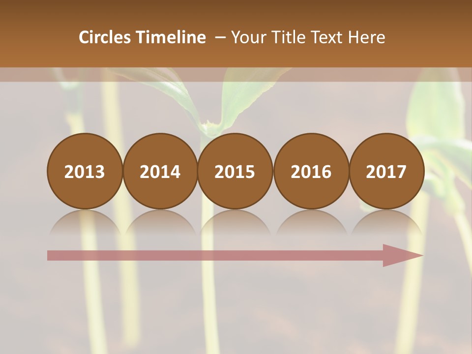 Sprout Plant Seed PowerPoint Template