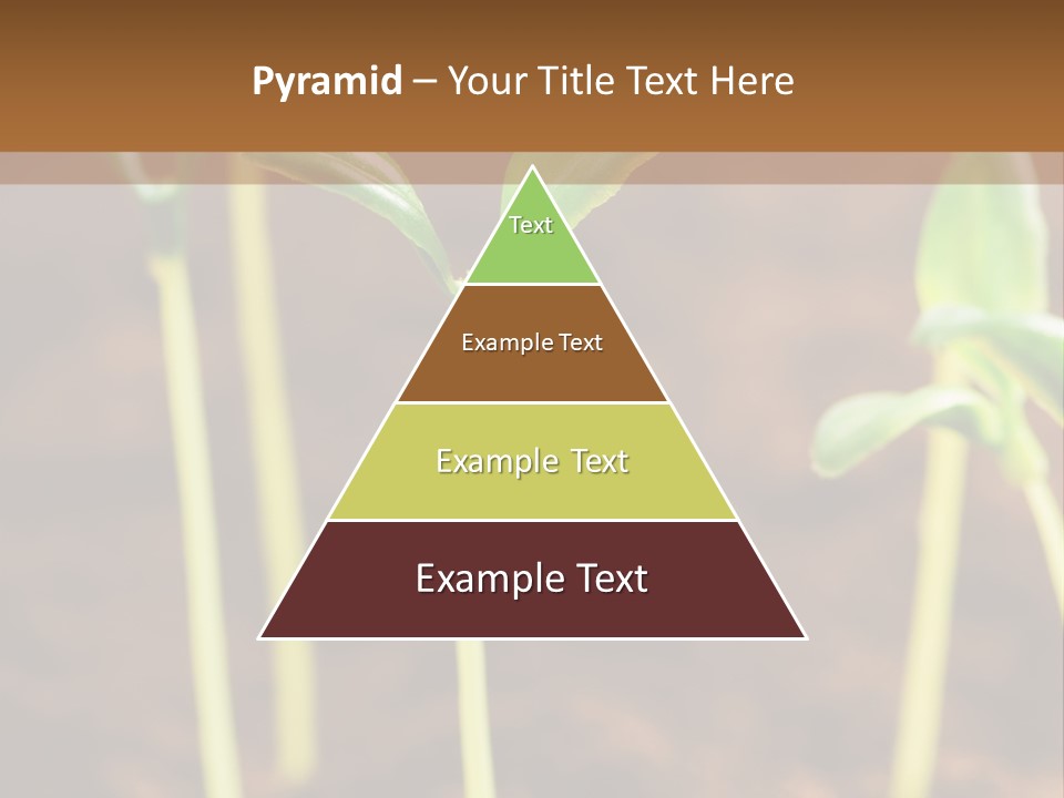 Sprout Plant Seed PowerPoint Template