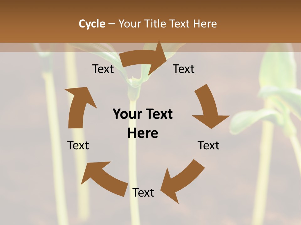 Sprout Plant Seed PowerPoint Template