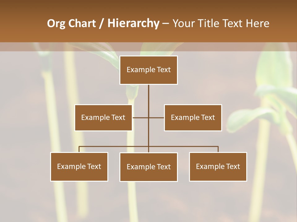Sprout Plant Seed PowerPoint Template