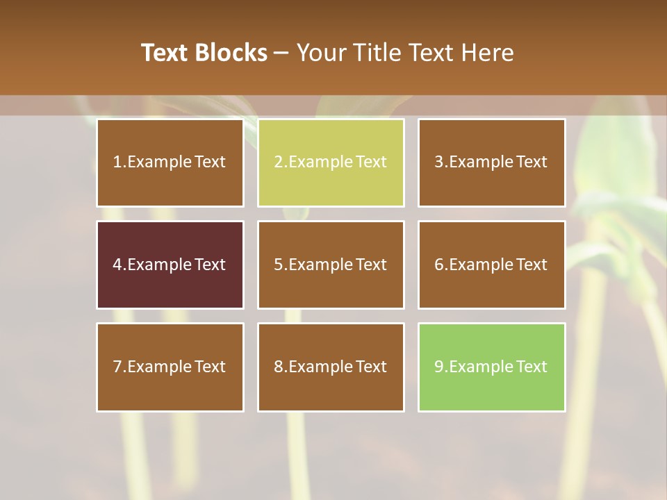 Sprout Plant Seed PowerPoint Template