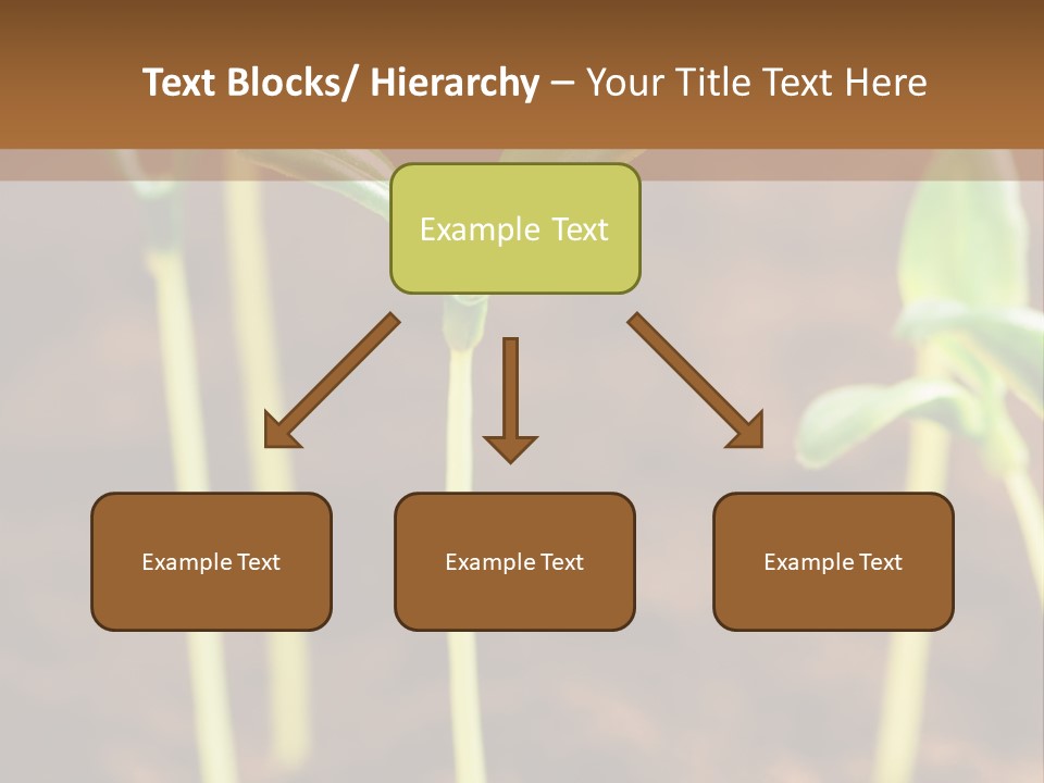 Sprout Plant Seed PowerPoint Template