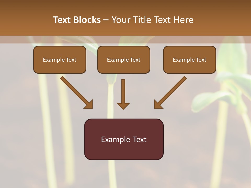 Sprout Plant Seed PowerPoint Template