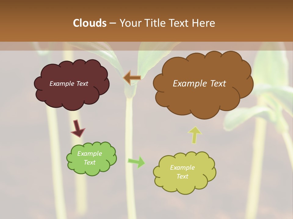 Sprout Plant Seed PowerPoint Template