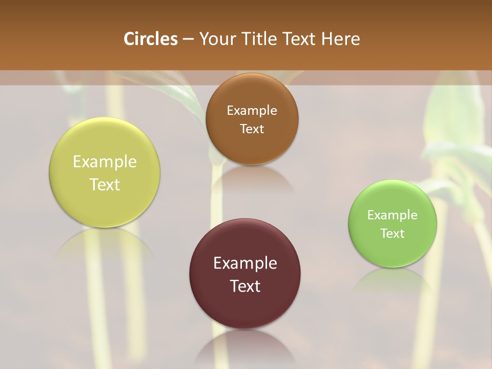 Sprout Plant Seed PowerPoint Template