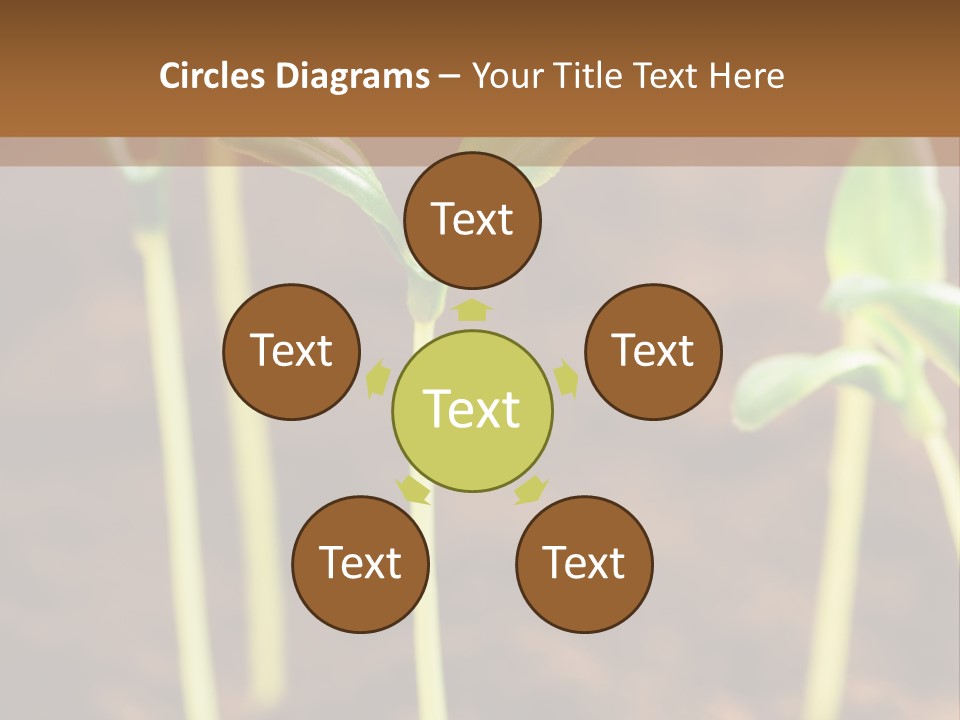 Sprout Plant Seed PowerPoint Template