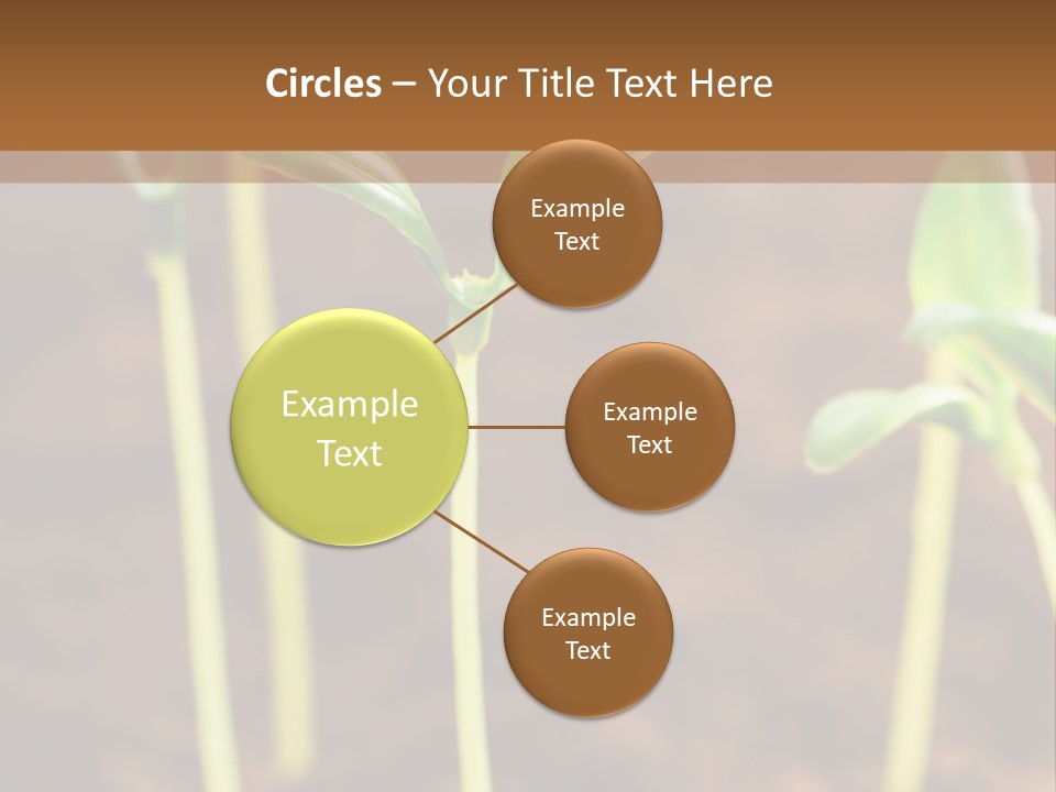 Sprout Plant Seed PowerPoint Template
