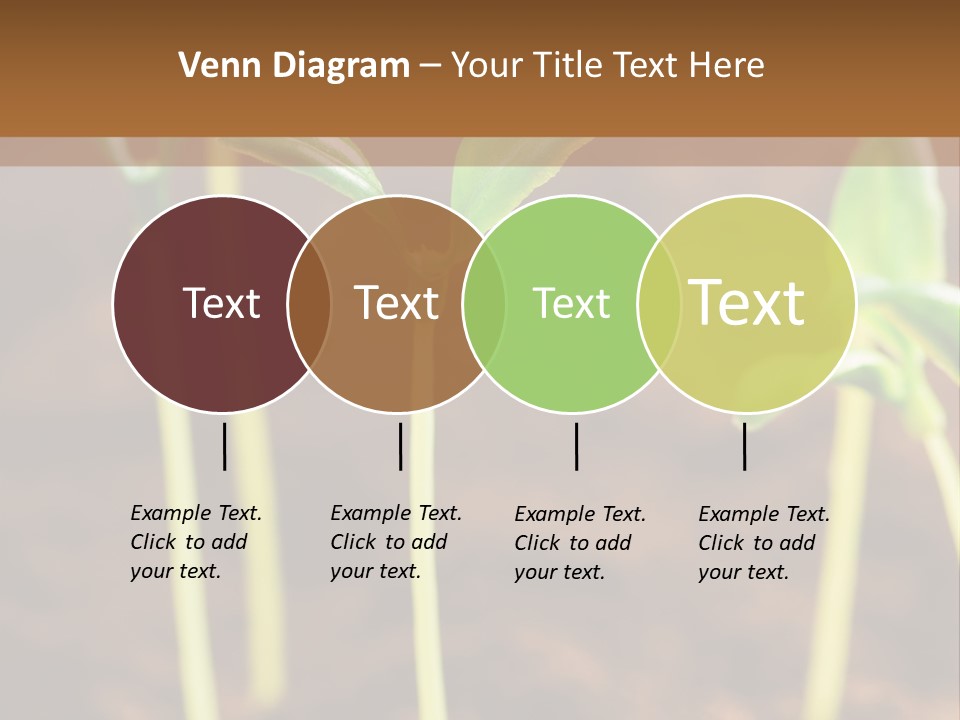 Sprout Plant Seed PowerPoint Template