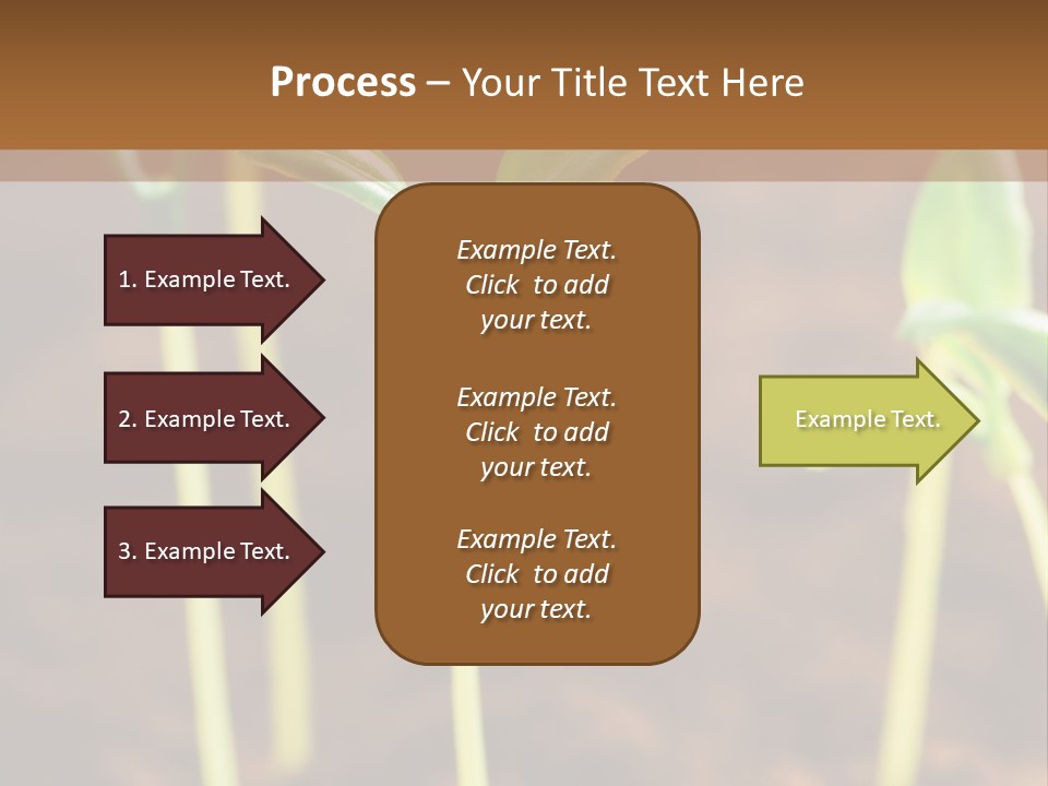 Sprout Plant Seed PowerPoint Template