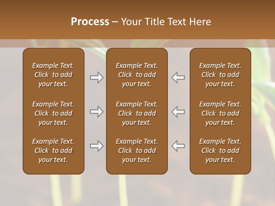Sprout Plant Seed PowerPoint Template