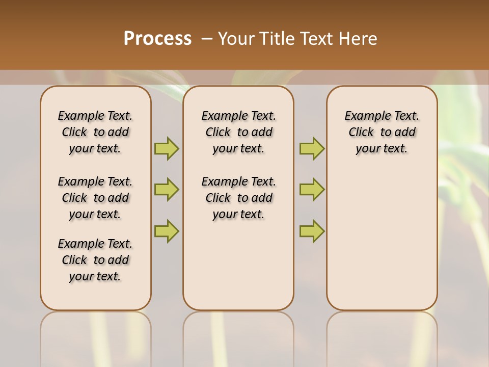 Sprout Plant Seed PowerPoint Template