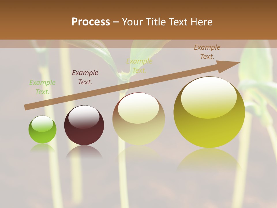 Sprout Plant Seed PowerPoint Template