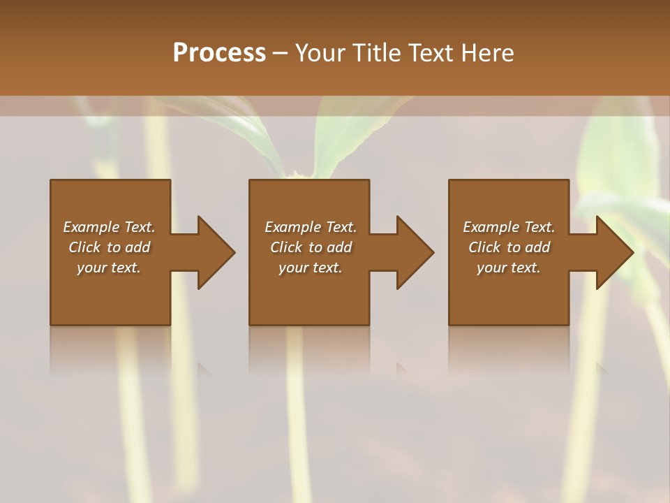 Sprout Plant Seed PowerPoint Template
