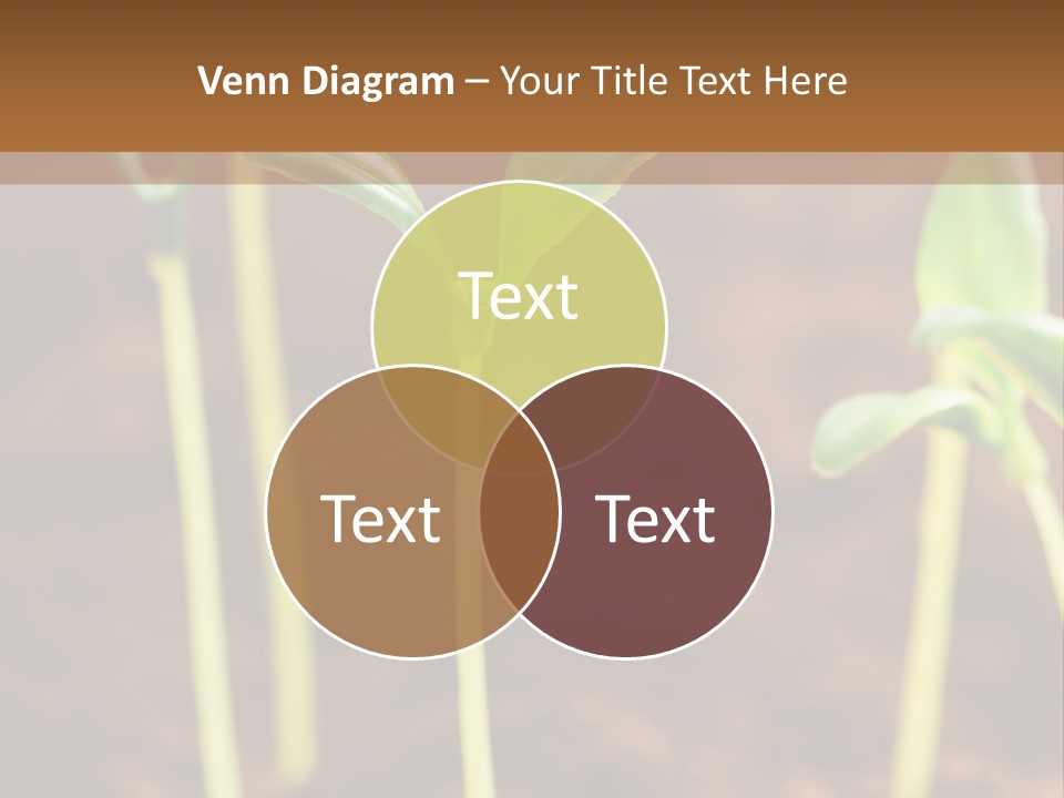 Sprout Plant Seed PowerPoint Template