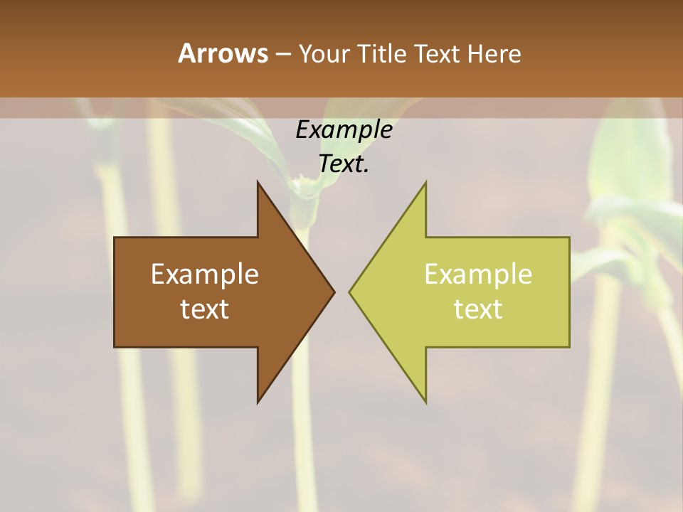Sprout Plant Seed PowerPoint Template